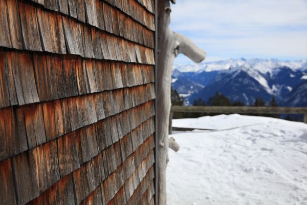 Cedar Siding Repair in Park City