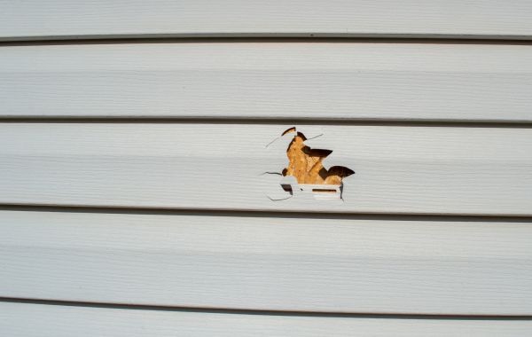 Siding Hole Patching in Park City