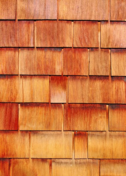 Wood Siding Replacement in Park City