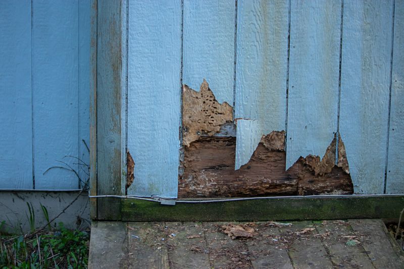 Professional Siding Repair